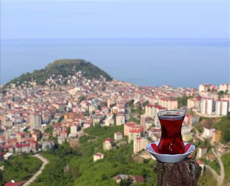  Guruguru Tepesi: Gizemli Tarih ve Muhteşem Manzara Sunan Bir Mekan!