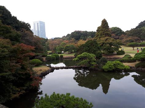 Shinjuku Gyoen Milli Bahçesi: Tokyo'da Ruhunuzu Yenileyin ve Doğayla Bağlantınızı Güçlendirin!